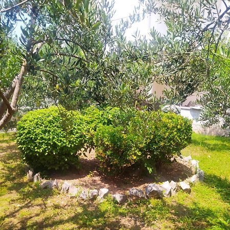Apartmani Trubi 2 Водице Экстерьер фото